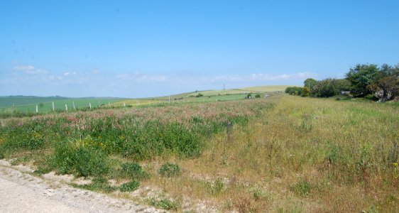Northeastward view along Drove Road, Woodingdean (May 2020)