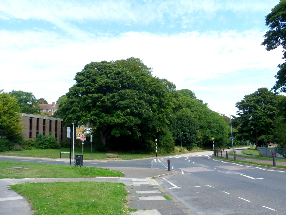 Northeastward view from Heath Hill Avenue, Bevendean (August 2013)