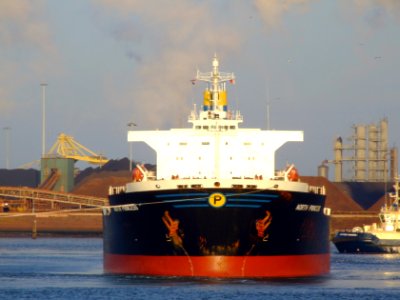 North Princess IMO 9123128, IJmuiden, Port of Amsterdam 27Dec2008 pic-1