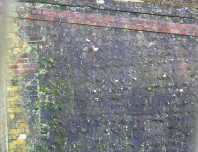 North Portal of Patcham Tunnel from Coney Wood (February 2014) (1)