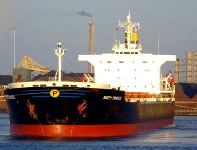 North Princess IMO 9123128, IJmuiden, Port of Amsterdam 27Dec2008 pic-2