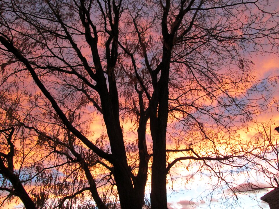 Sky color morning