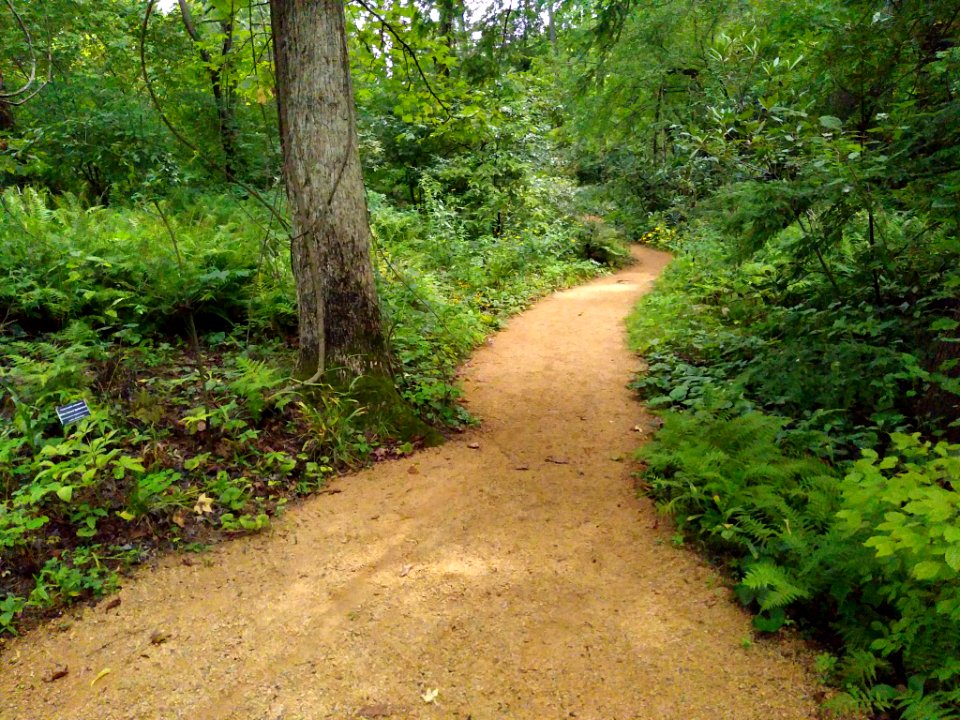 North Carolina Botanical Garden - walking path