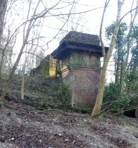 North Portal of Patcham Tunnel from Coney Wood (February 2014) (2)