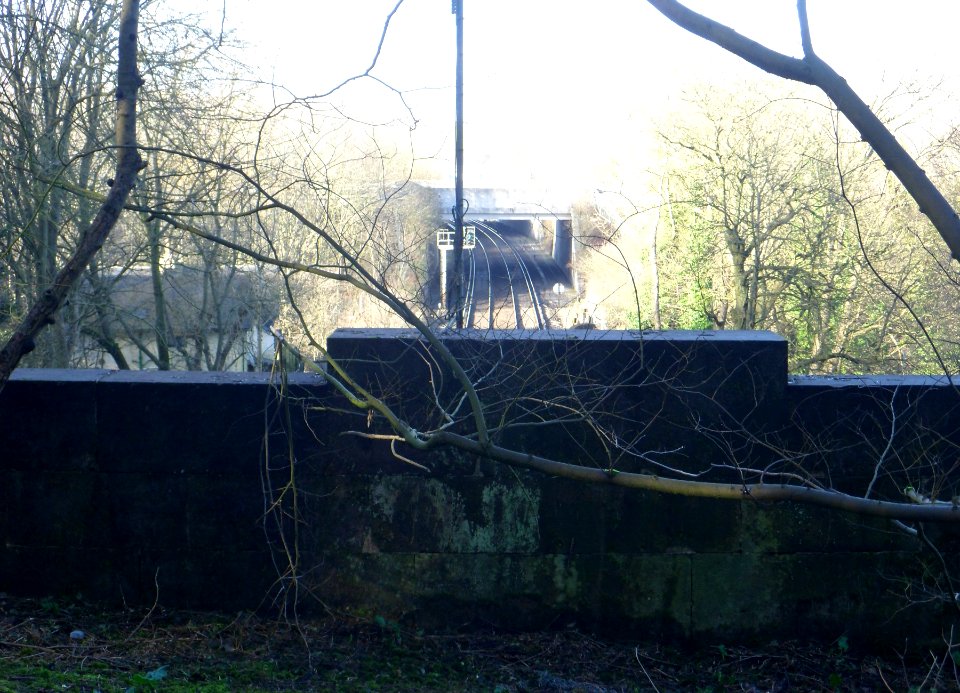 Northward view from North Portal of Patcham Tunnel, Coney Wood (February 2014) (2)