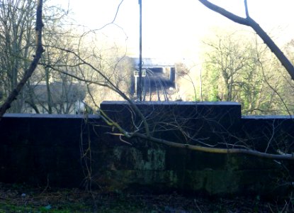 Northward view from North Portal of Patcham Tunnel, Coney Wood (February 2014) (2)