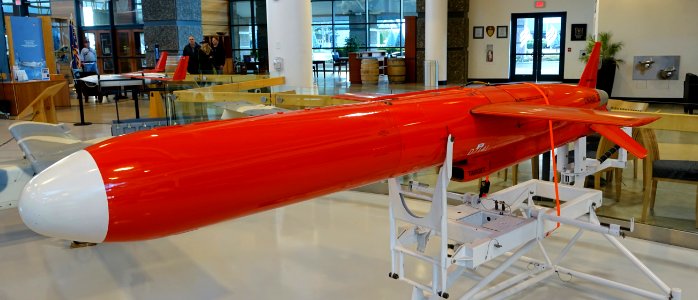 Northrop Grumman Chukar III target drone, 1965 - Evergreen Aviation & Space Museum - McMinnville, Oregon - DSC01108