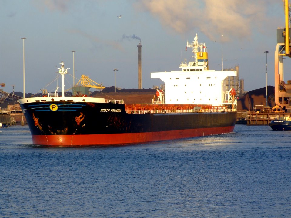 North Princess IMO 9123128, IJmuiden, Port of Amsterdam 27Dec2008 pic-4