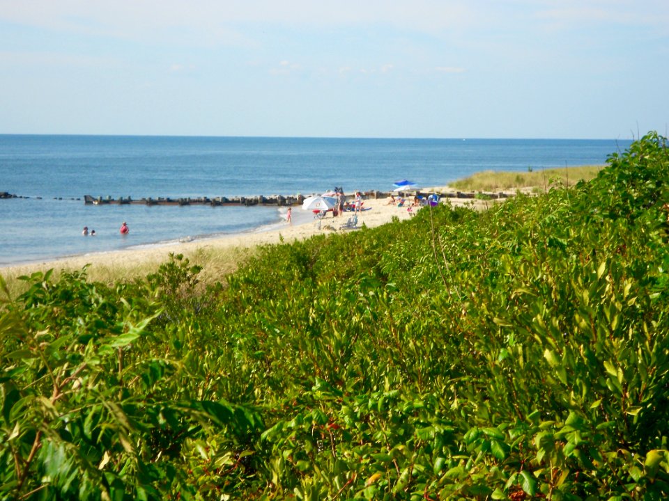 North Cape May NJ DBay beach near Browning