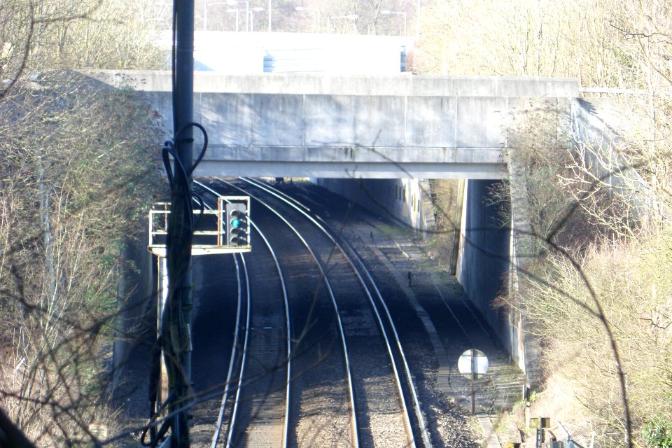 Northward view from North Portal of Patcham Tunnel, Coney Wood (February 2014) (1)