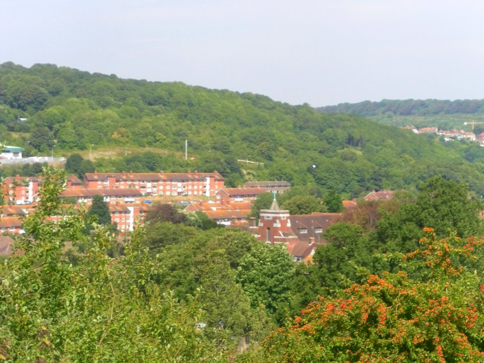 Northward view across Moulsecoomb from Meadowview, Brighton (August 2013) (4)