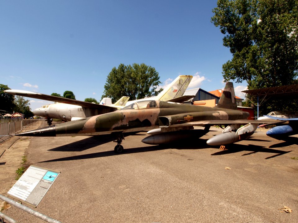 Northrop F-5E Tiger II pic4