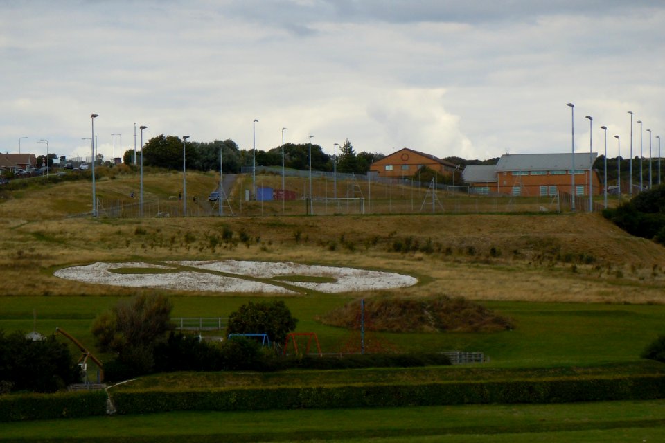 Northward view across East Brighton Park from Roedean Road, Roedean, Brighton (August 2014) (2)