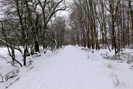 Northwest of the Spandauer Forst with snow 2021-02-09 26