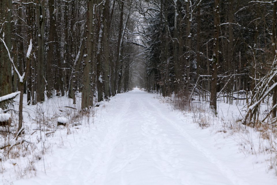 Northwest of the Spandauer Forst with snow 2021-02-09 21