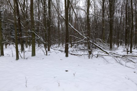 Northwest of the Spandauer Forst with snow 2021-02-09 25
