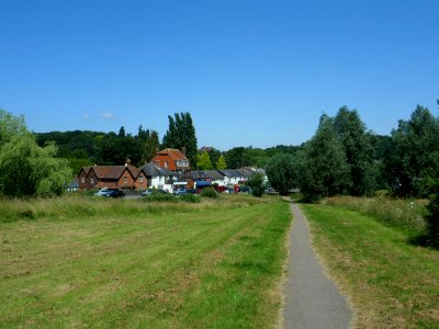 Northward view towards Spook Hill, North Holmwood (July 2013)