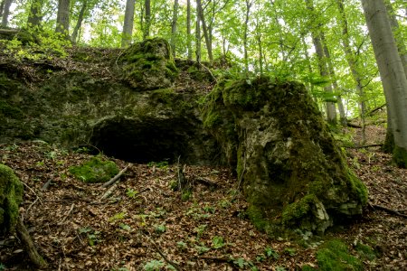 Nordöstliche Felsgrotte in der Weißen Hülle (A 232) 02