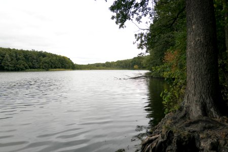 Nordende.Krumme.Lanke.Naturschutzgebiet.Rangsdorfer.See