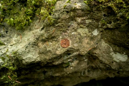 Nordöstliche Felsgrotte in der Weißen Hülle (A 232) 07