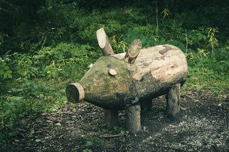 Pig sow wood