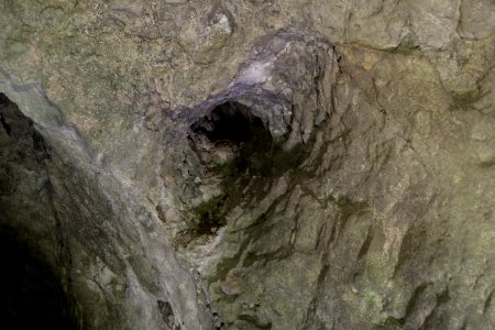 Nordöstliche Felsgrotte in der Weißen Hülle (A 232) 13