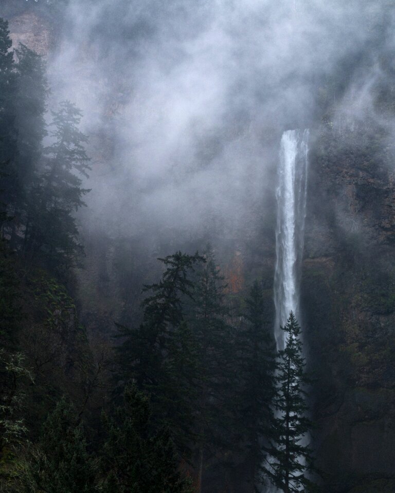 Mist misty nature