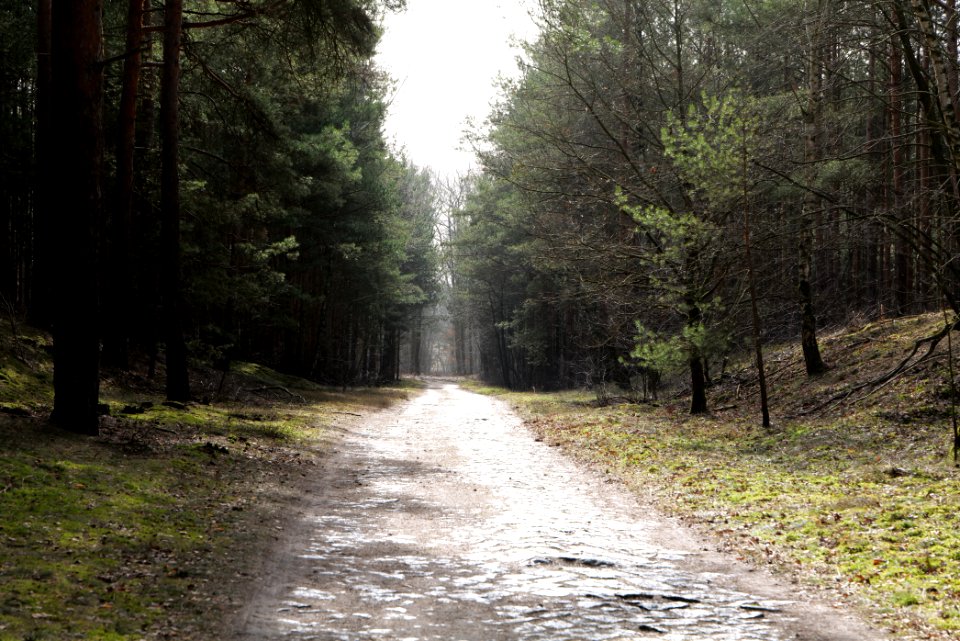 North of Parforceheide 2021-02-24 37
