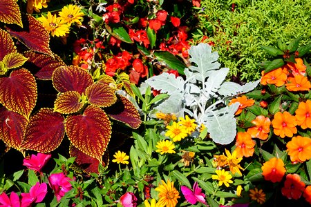 Botanical garden überlingen spring