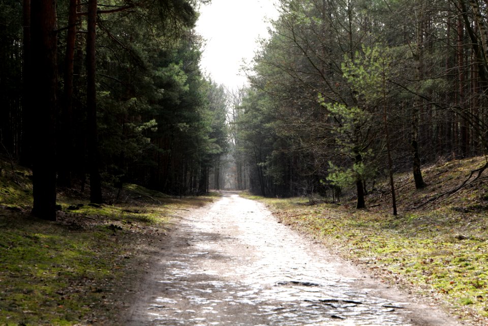 North of Parforceheide 2021-02-24 39