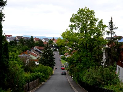 North of Fulda 2019-07-14 21