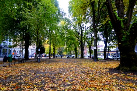 North Park Blocks - Portland, Oregon - DSC01134
