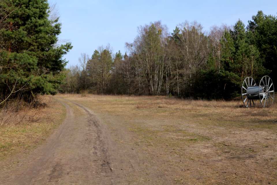 North of Parforceheide 2021-02-24 05