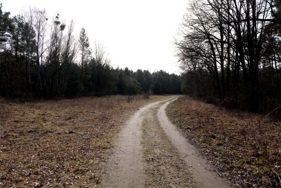 North of Parforceheide 2021-02-24 01