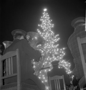 Noorse kerstboom in Rotterdam. Man met tuba voor kerstboom, Bestanddeelnr 913-3163