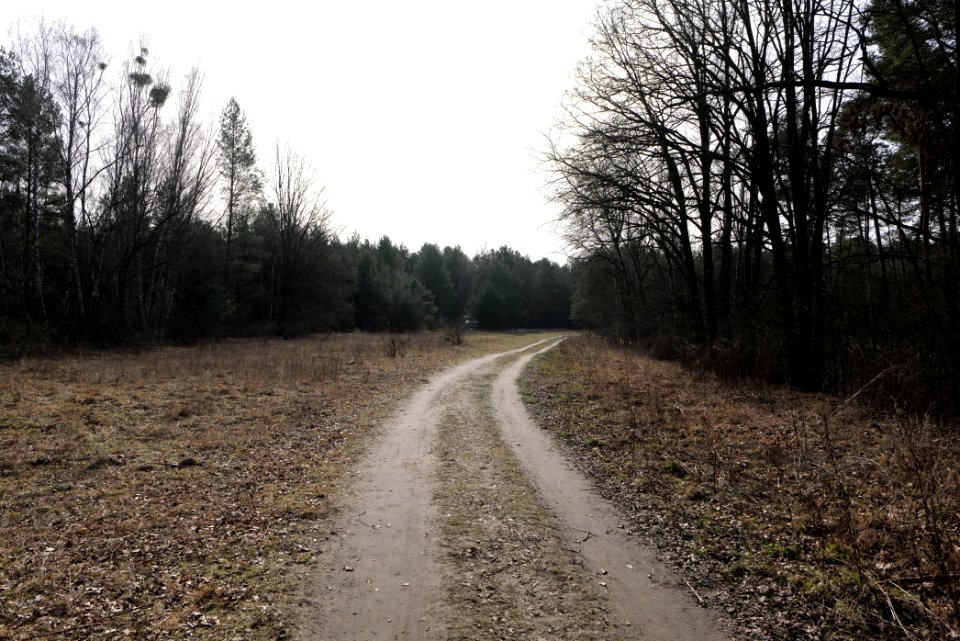 North of Parforceheide 2021-02-24 02