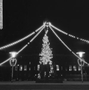 Noorse kerstboom voor Rotterdam. Zaterdag verlichting ontstoken op Stadhuisplein, Bestanddeelnr 915-8563