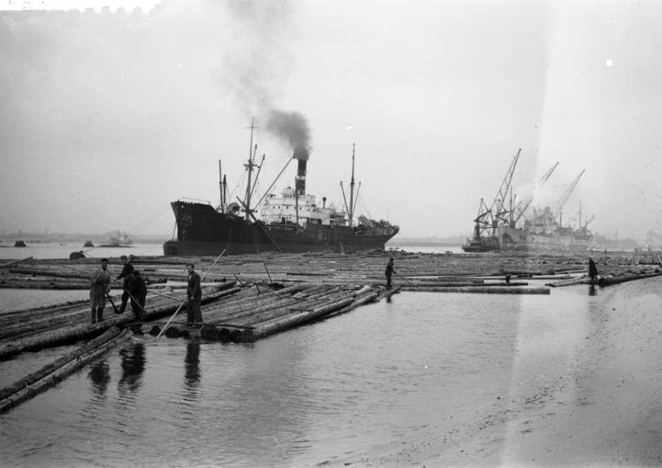 Noorse houtschepen te Rotterdam, Bestanddeelnr 901-0750