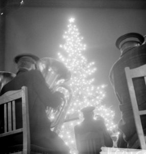 Noorse kerstboom in Rotterdam. Man met tuba voor kerstboom, Bestanddeelnr 913-3165