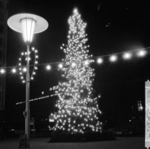Noorse kerstboom voor Rotterdam. Zaterdag verlichting ontstoken op Stadhuisplein, Bestanddeelnr 915-8562