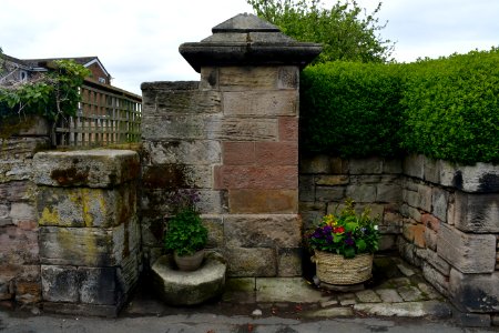 North Sunderland (2021-05-26) 20
