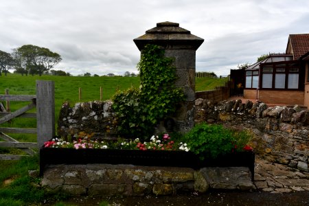 North Sunderland (2021-05-26) 02