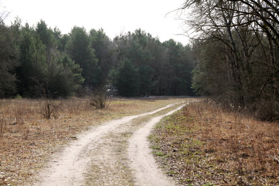 North of Parforceheide 2021-02-24 04
