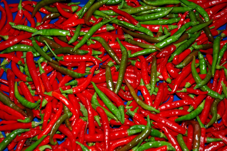 Vegetable spicy hot
