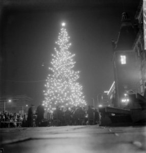 Noorse kerstboom in Rotterdam, Bestanddeelnr 913-3161