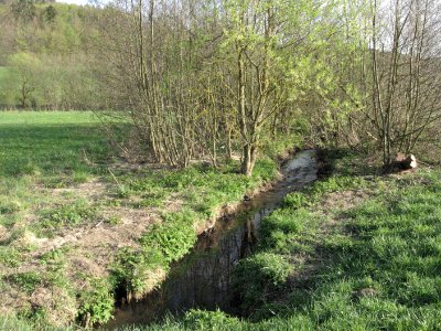 Nesselbach vor Schenkenbachmündung