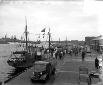 Neptunus met nieuwe haring overzicht, Bestanddeelnr 905-1331