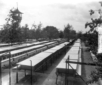Nertsenfarm te Eest (Utrecht). Opdracht NV Heerfur, Bestanddeelnr 905-8459