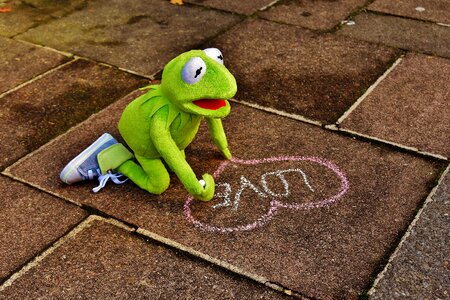 Kermit frog heart photo