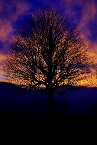 Abendstimmung evening sky fiery